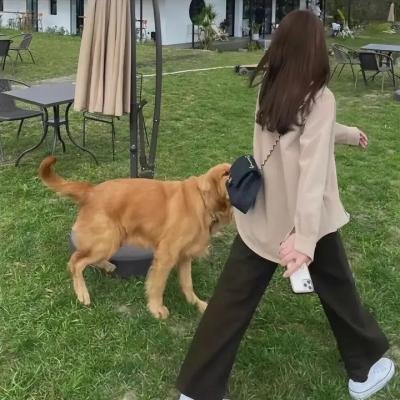 珍珠传奇